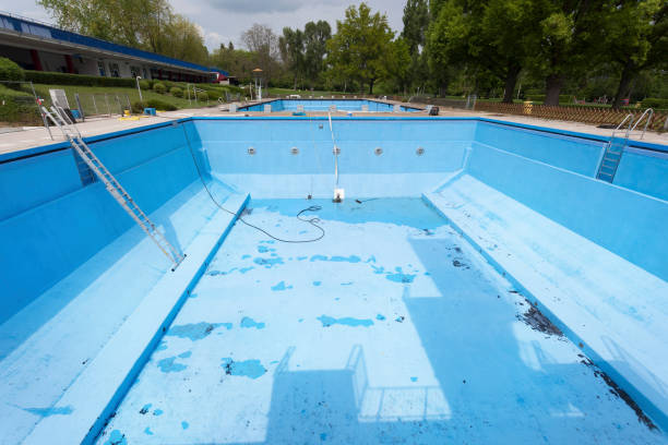 Best Water damage restoration experts  in Bayonet Point, FL