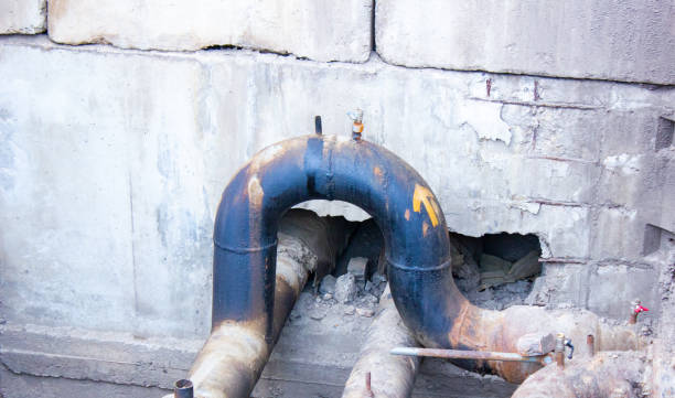 Best Carpet water damage restoration  in Bayonet Point, FL